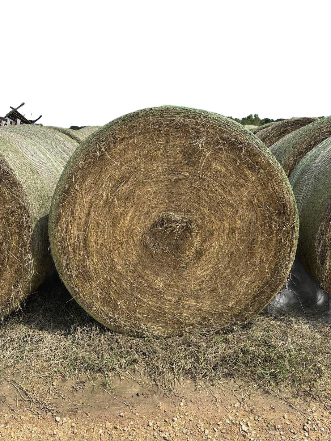 Coastal Round Bale