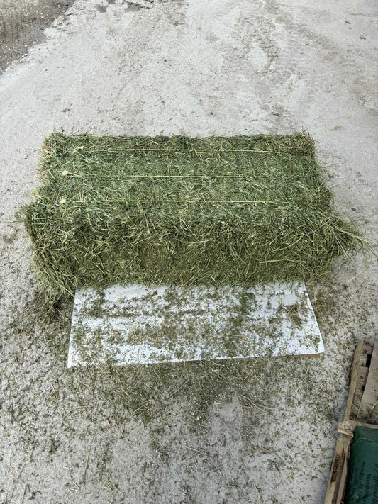 Alfalfa Hay