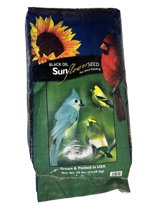 Black Oil Sunflower Seed