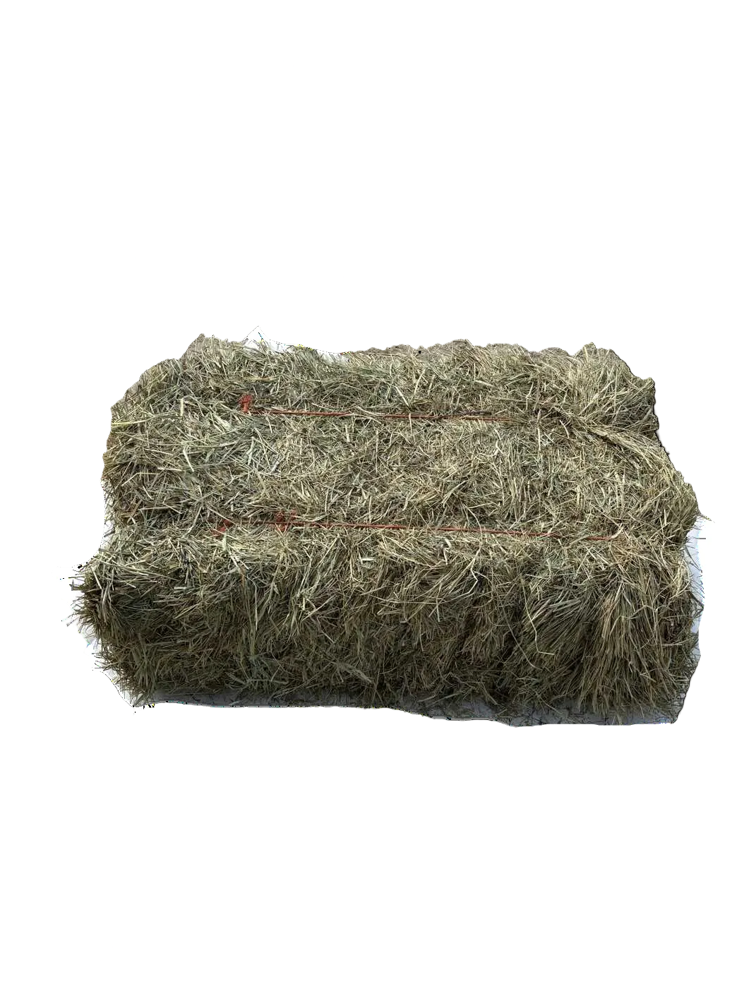 Coastal Square Bale