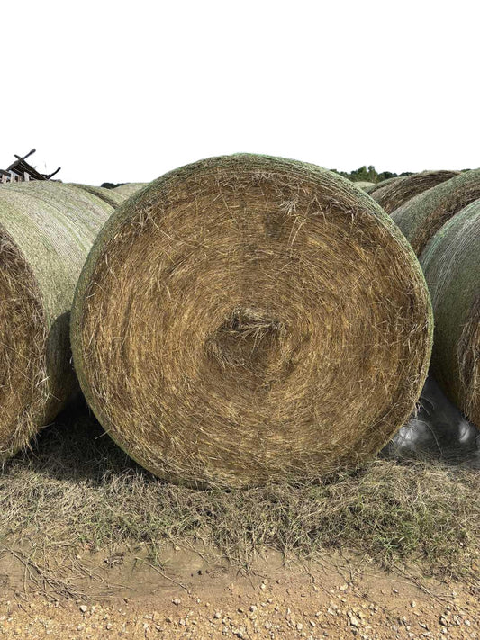 Coastal Round Bale