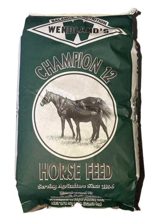 Wendland's Grand Champion 12