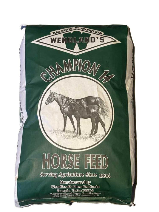 Wendland's Grand Champion 14