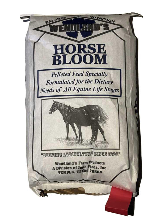 Wendland's Horse Bloom 12 HF